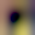 Blurred preview