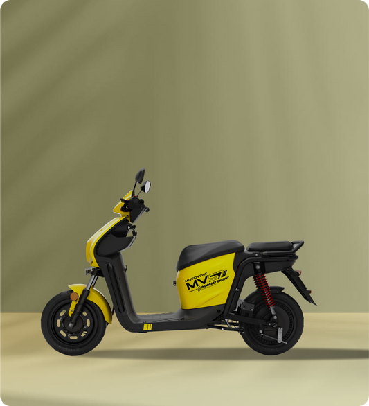MVS7